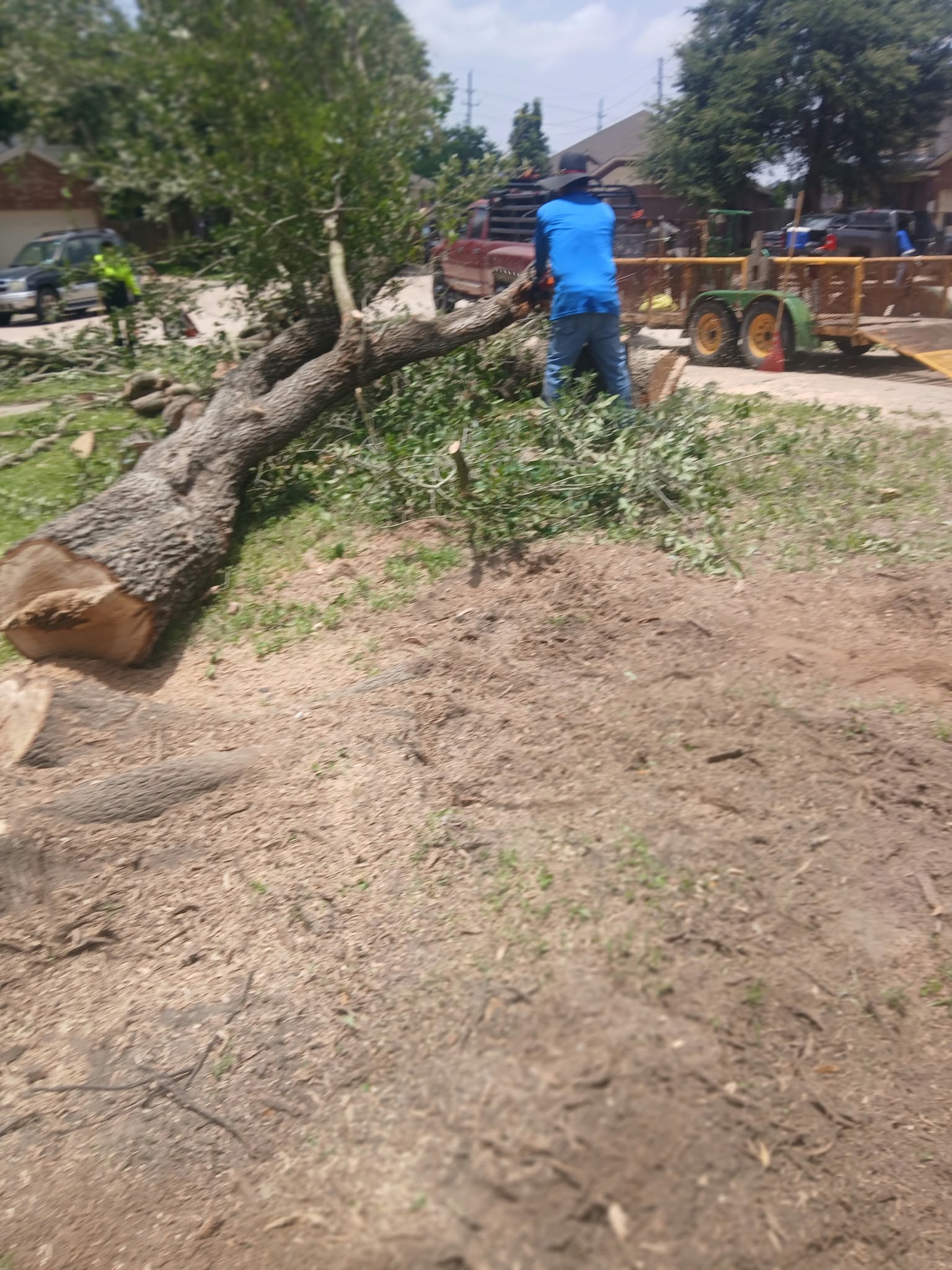 Remoción de árboles